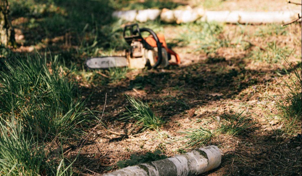 Kettensäge sicher verwenden