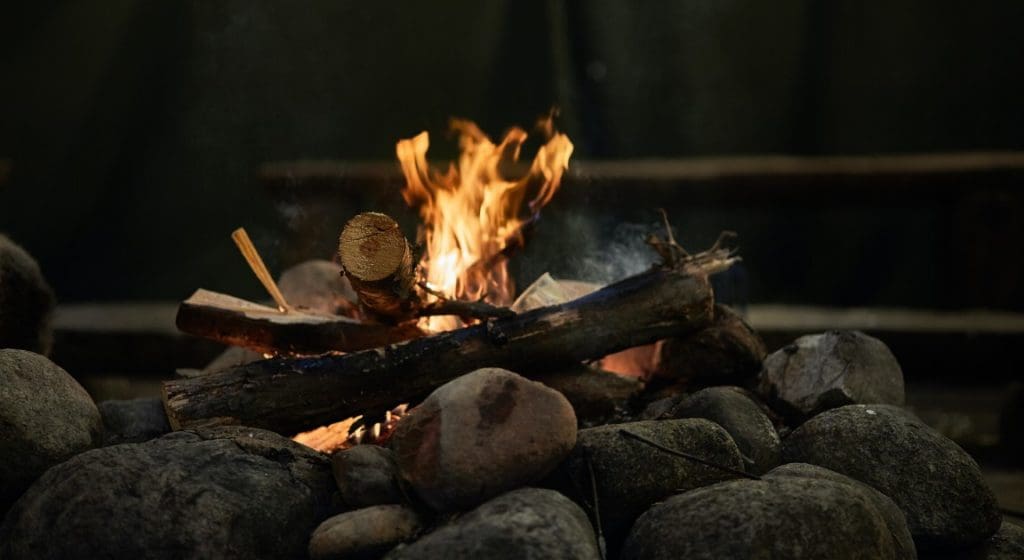 Welches ist die beste Holzart für Kamine?